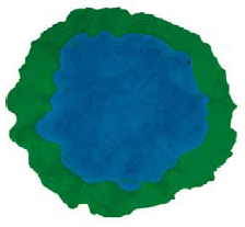 StampMaster/Creative Urethane Concepts Inc. - TexFlex Skins
