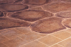 Acid Stained Floor