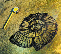 Diamond Blades Cut Concrete