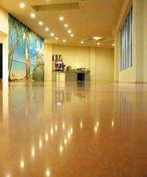 Polishing Concrete