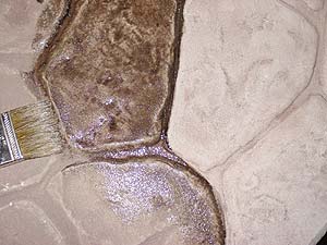 Adding Color to Sealers