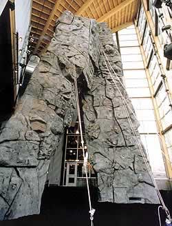 Custom Rock International