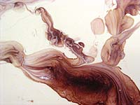 Granitelike flake floors epoxies