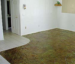 Epoxy Coatings