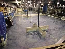 Acrylic Stains - GM Showroom