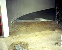 Modesto Theater Restoration, Julio Hallack