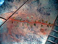 decorative concrete crack fixing