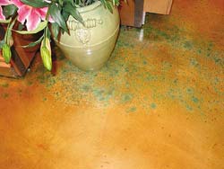 <Colormaker Floors - decorative floor>