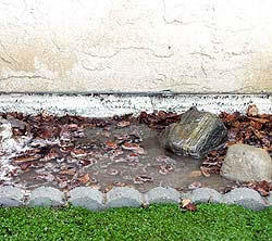 <Drain Systems>