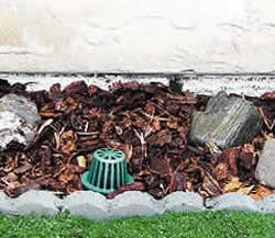 <Drain Systems>