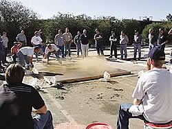 <Decorative Concrete Institute>