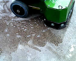 Diamond Polished Floor