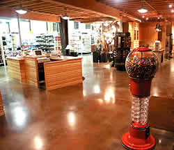 Polished Concrete Floor
