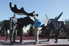 Metal Forms Moose Park