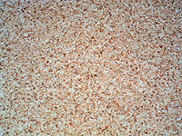 Versatile Liquid Granite Chip Flooring System