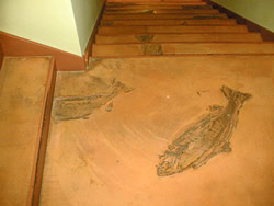 Decorative Concrete Design 2