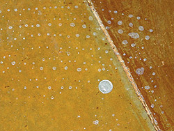 Sealing Decorative Concrete 2