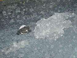 Sealing Decorative Concrete 3