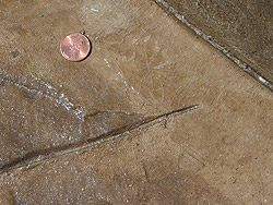 Sealing Decorative Concrete 4
