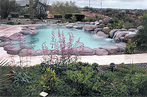 rock pool