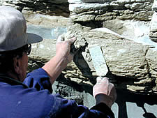 faux rock concrete pool