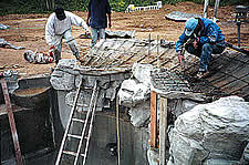 faux rock concrete pool