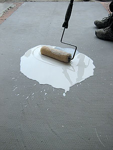Rolling a sealer with a paint roller
