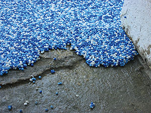 Pebble-Flex