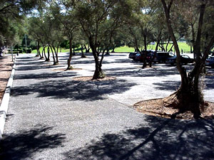 Pervious Concrete