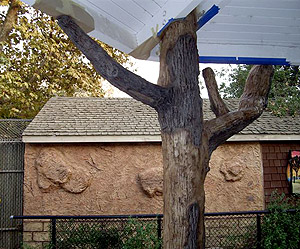 Fossilcrete