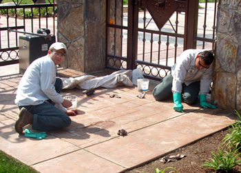 Carlton Concrete, Growing Your Business