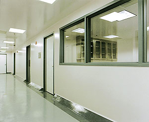Valspar Flooring wall and ceiling coating system.