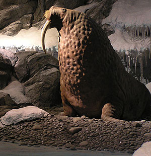 Synthetic Rock Features
