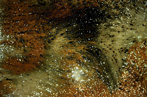 Reactive Stains