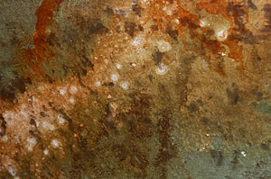 Reactive Stains