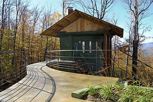 Concrete Treehouse