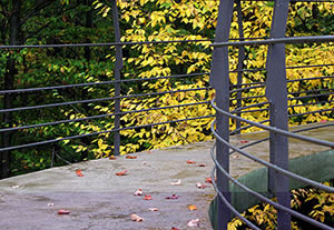 Concrete Treehouse