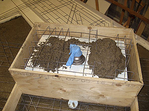Greener Cement