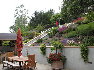 Magid House Backyard, Aptos, Calif.
