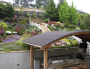 Magid House Backyard, Aptos, Calif.