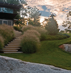 Slim colored concrete stairs wind between lavender on a New England residential hillside.