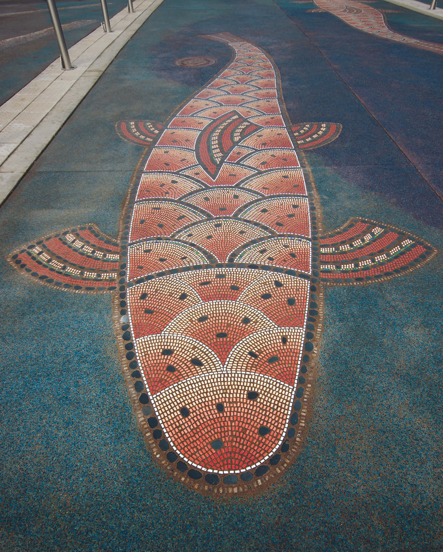 Orange and white Lithomosaic fish on concrete with blue surrounds