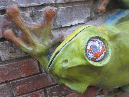 concrete frog climbing a wall