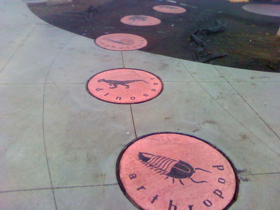 Concrete circles with stenciled prehistoric bugs and dinosaurs.