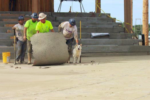 A crew stamps concrete with the help of a dog.
