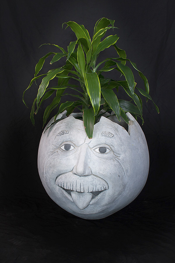 Einstein's head planter