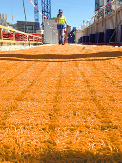 SKudo mats = Skudo (www.skudousa.com) rolled out two new mats at WOC, a three-times-as-thick, high-impact version of the Tack-Mat and the orange All-Terrain Mat for concrete.