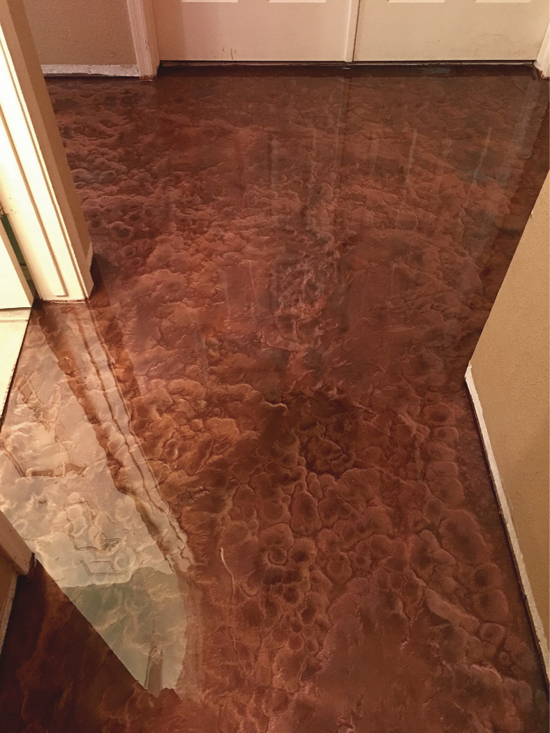 This residential interior hallway was mainly colored with Copper but has other colors worked in, too.