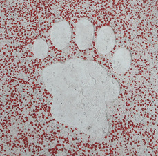 A paw print stencil on a white cement overlay surrounded by red glass aggregate especially created for concrete.
