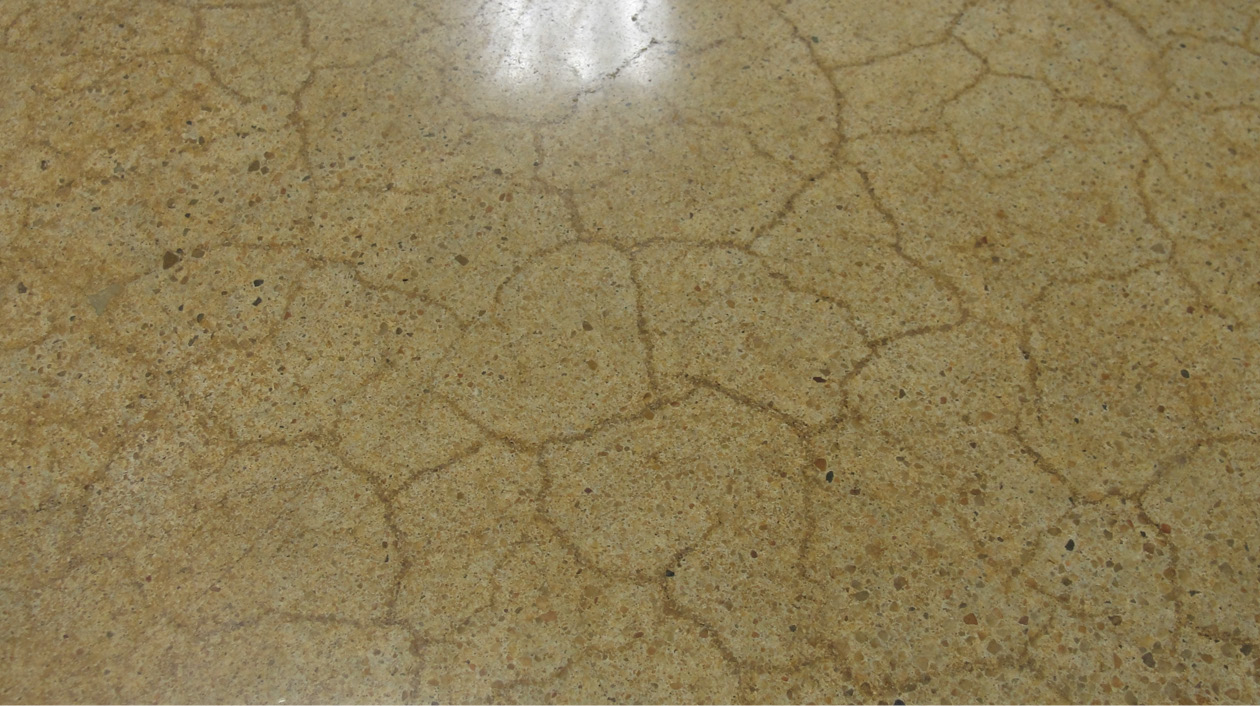 Craze concrete cracking that has been colored with a darker stain to handle the cracked look